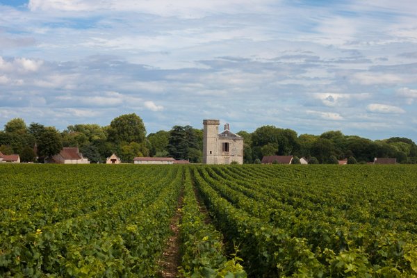 Comment planifier une visite des vignobles de Chablis en Bourgogne?